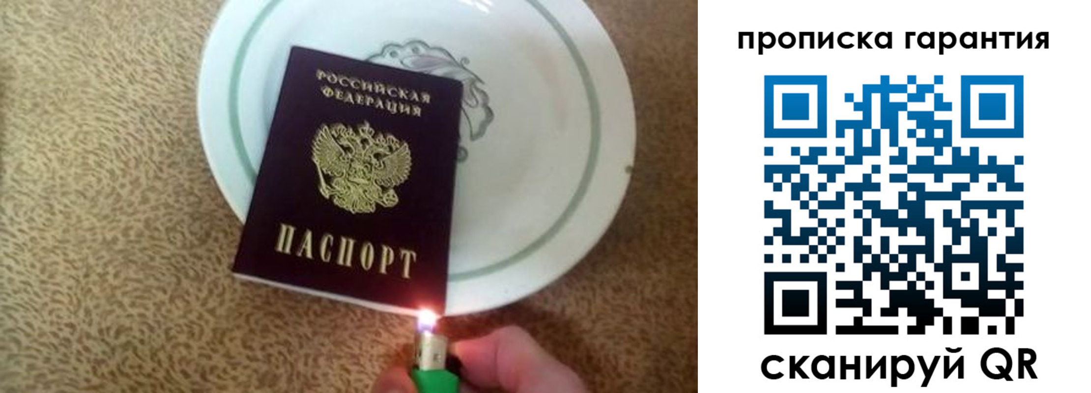 прописка гарантия в Ртищево